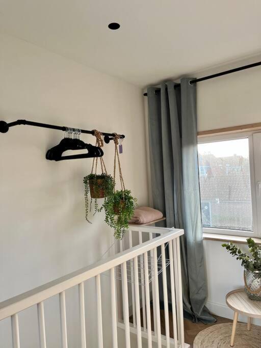 Tiny House In Center Aalsmeer I Close To Schiphol & Amsterdam Luaran gambar